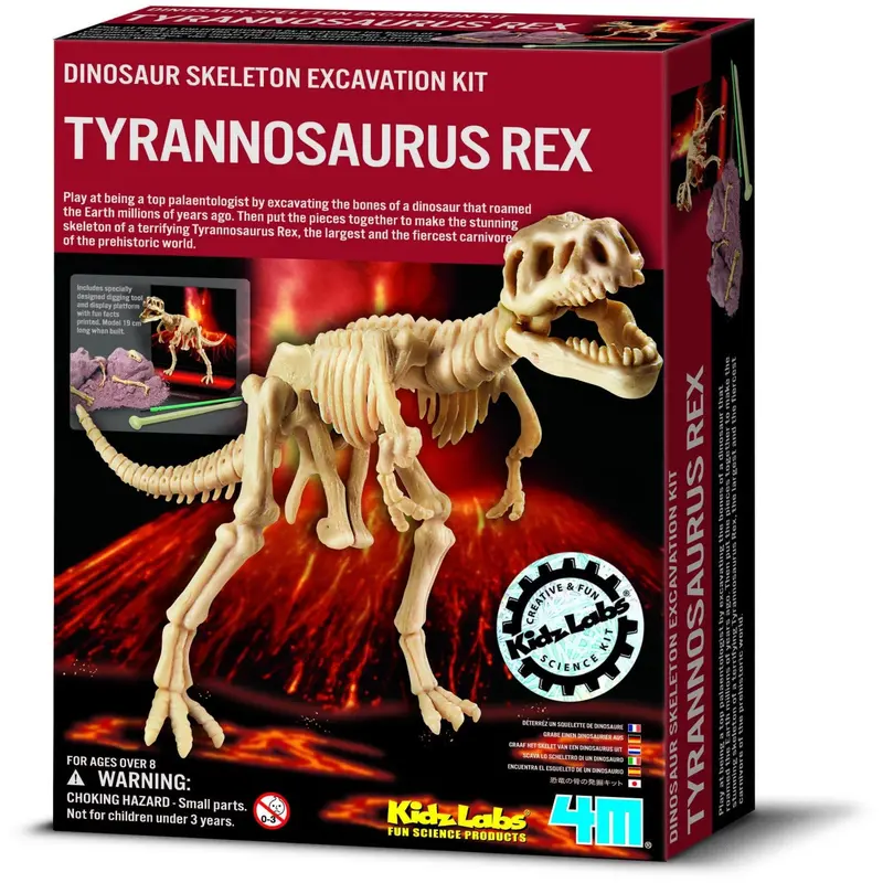 4M Kidz Labs/Dig A T-Rex Skeleton 1