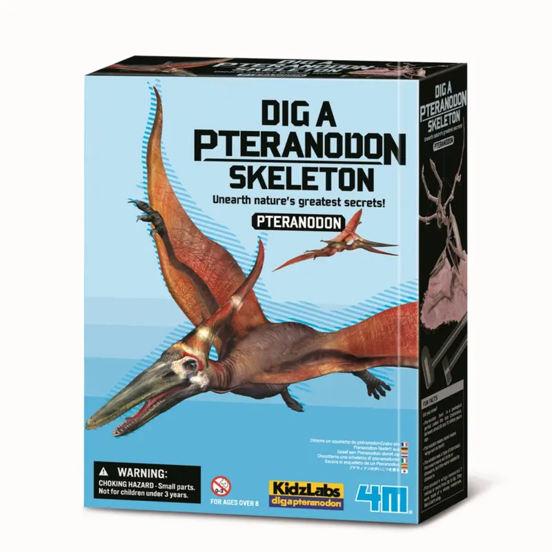 4M Udgrav Et Pteranodon-Skelet 1