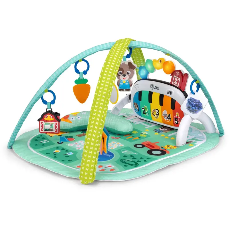 Baby Einstein 4-In-1 Kickin’ Tunes™ Musical Meadow™ Musik & Language Discovery Gym 1