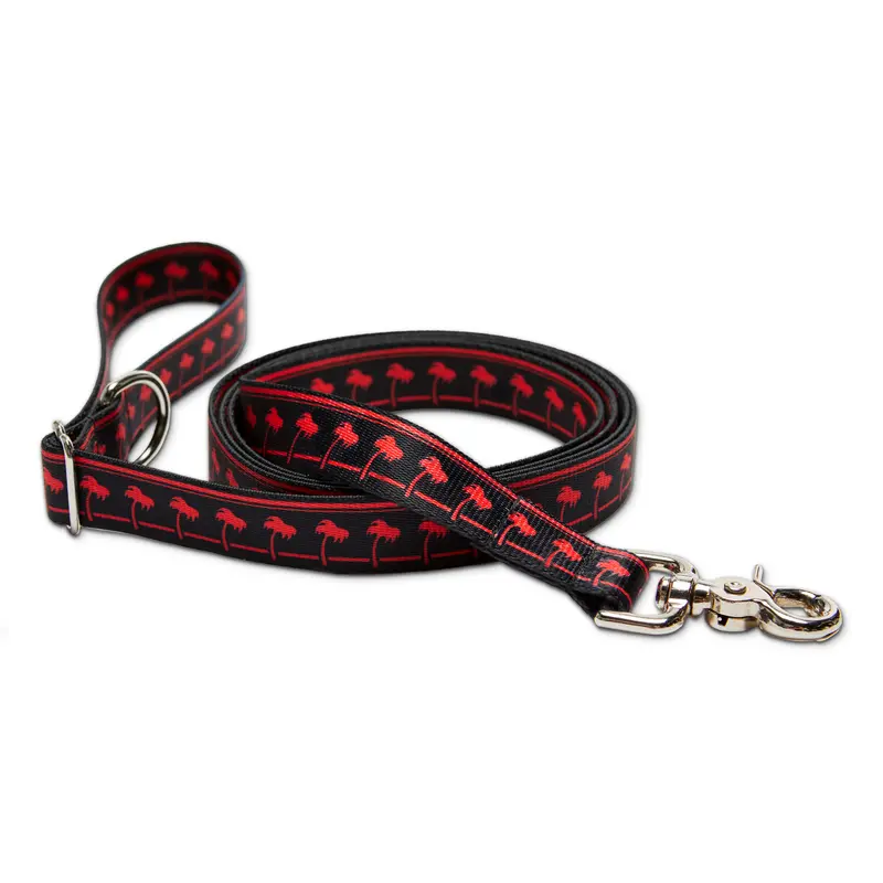 Black Dog Leash 1