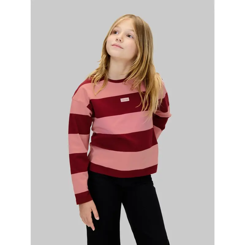 Calvin Klein Raspberry Chocolate / Apricot Cn Stripe Ls T-Shirt 3