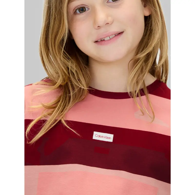 Calvin Klein Raspberry Chocolate / Apricot Cn Stripe Ls T-Shirt 4