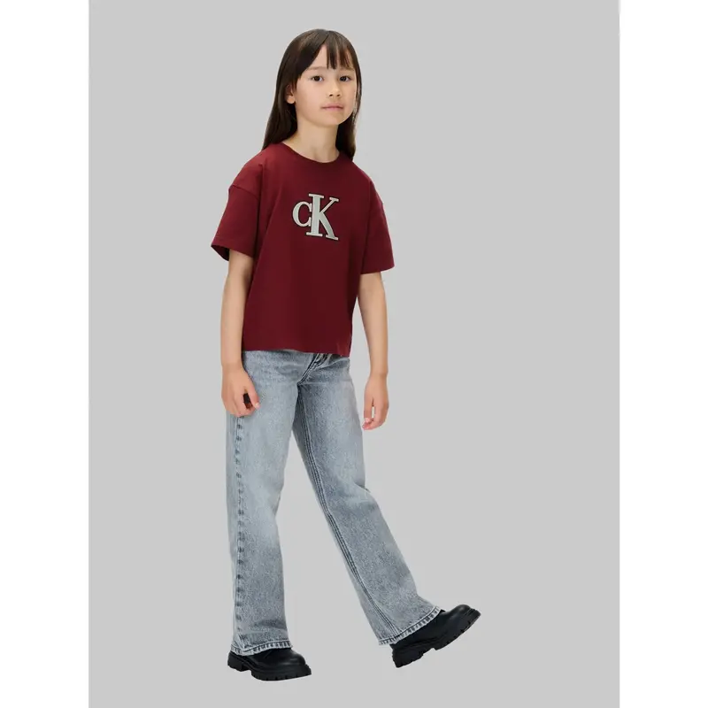 Calvin Klein Raspberry Chocolate Festive Graphic Ss T-Shirt 2