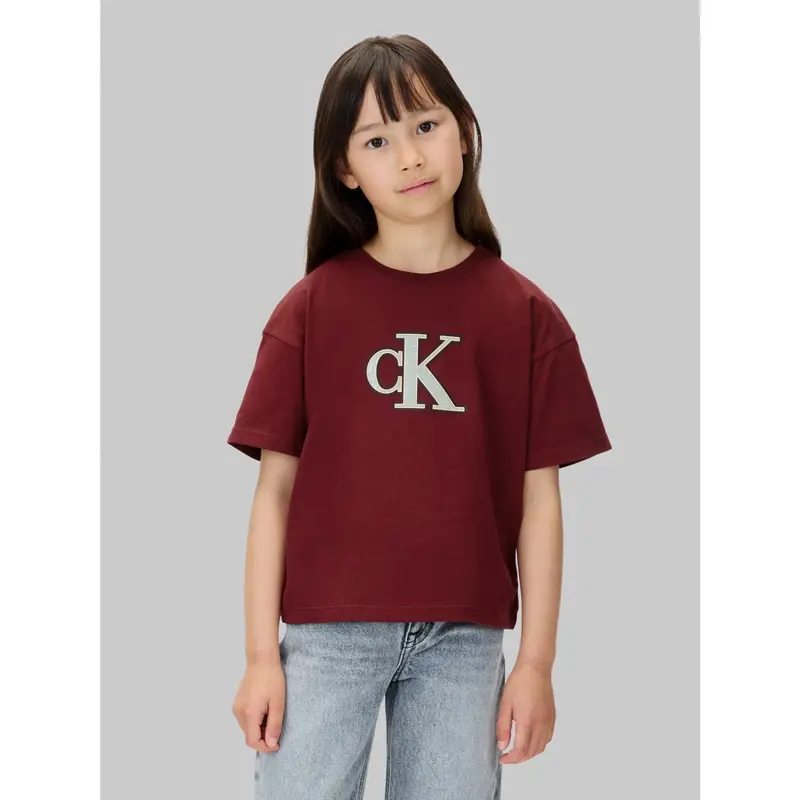 Calvin Klein Raspberry Chocolate Festive Graphic Ss T-Shirt 4