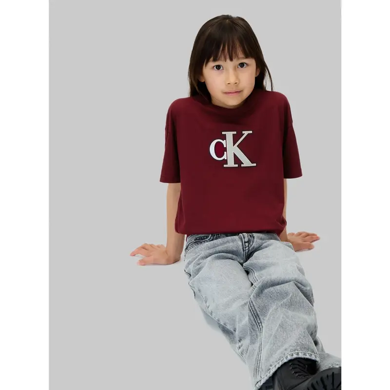 Calvin Klein Raspberry Chocolate Festive Graphic Ss T-Shirt 5