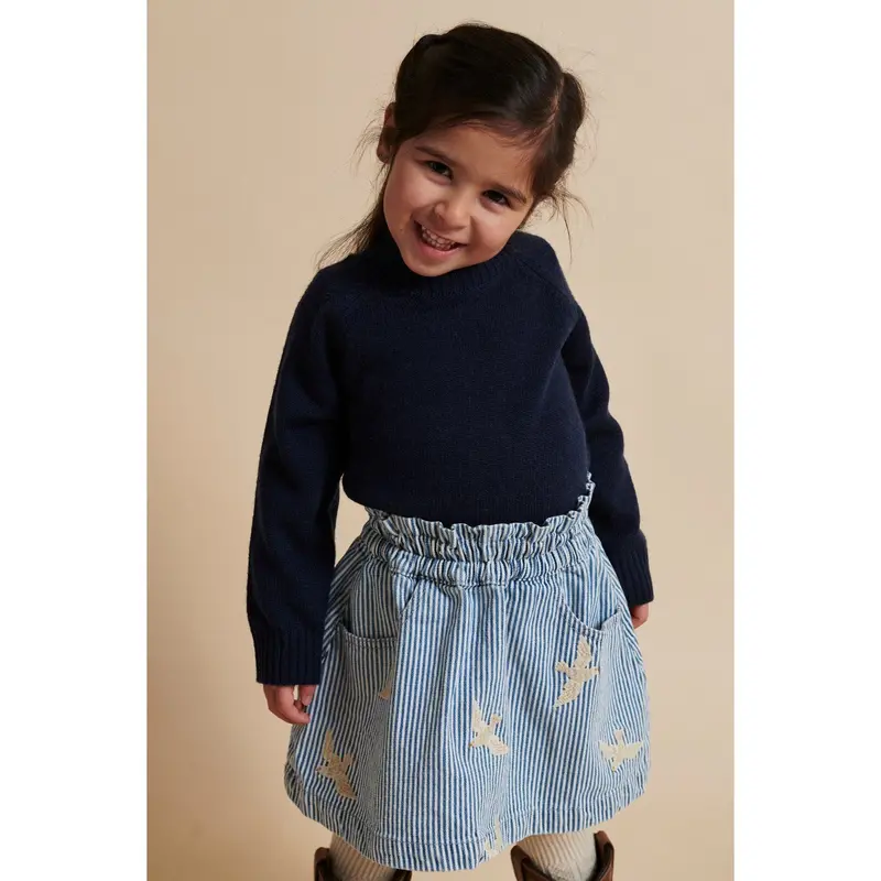 Copenhagen Colors Denim Blue Stripe Y/D Twill Nederdel W. Embroirdey 5