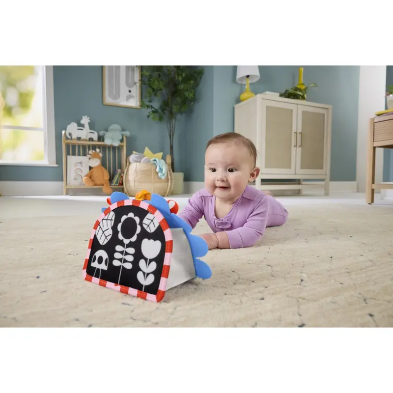 Fisher-Price® Nyfødt 2-I-1 Spejl 2