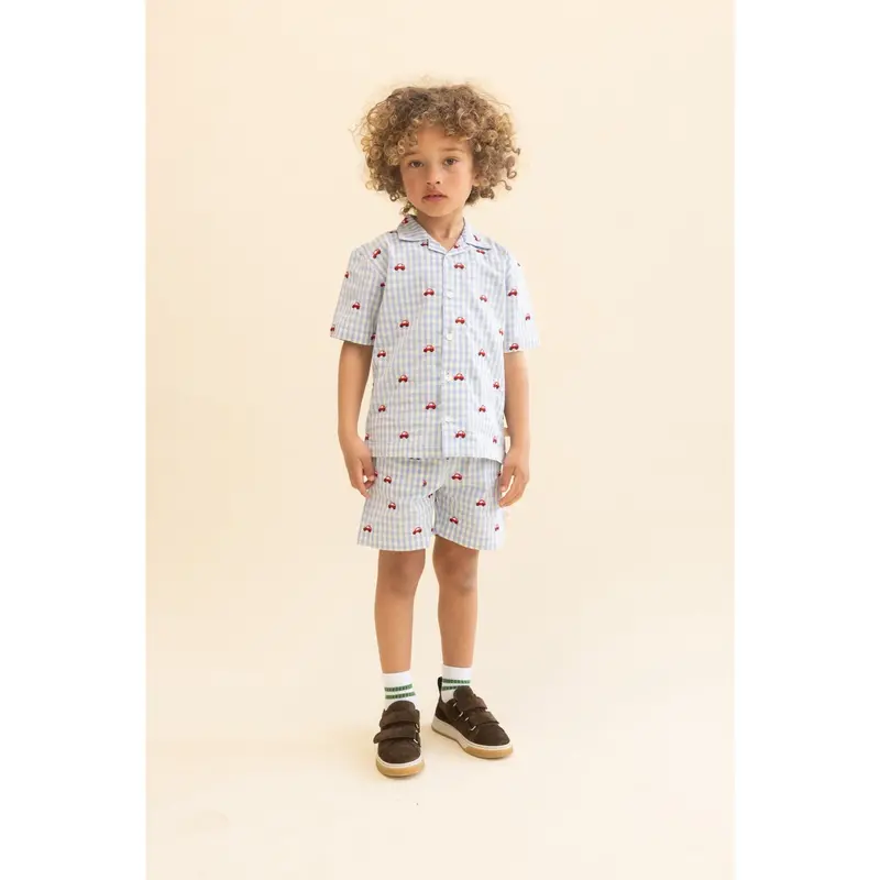 Flöss Blue Gingham Albert Shorts 2