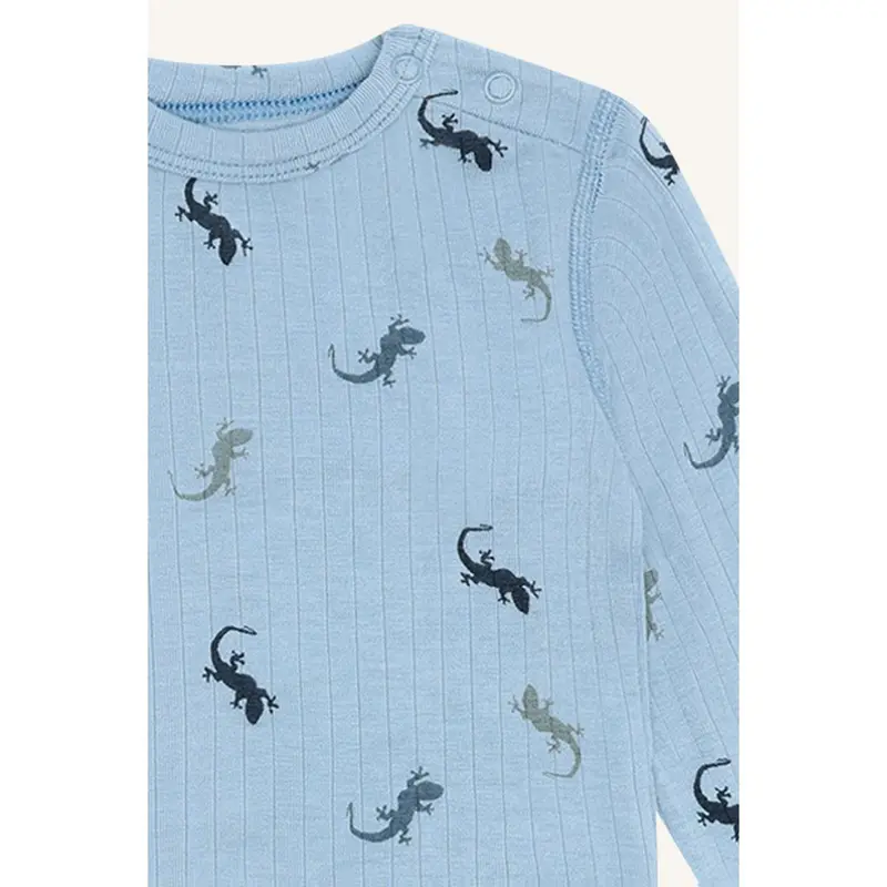 Hust & Claire Light Blue Buller Lizards 2