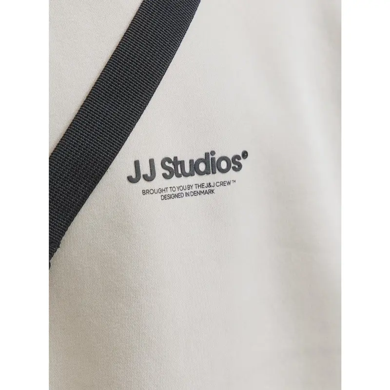 Jack & Jones Junior Moonbeam Jjesoho Sweat Crew Neck Sn Jnr 4