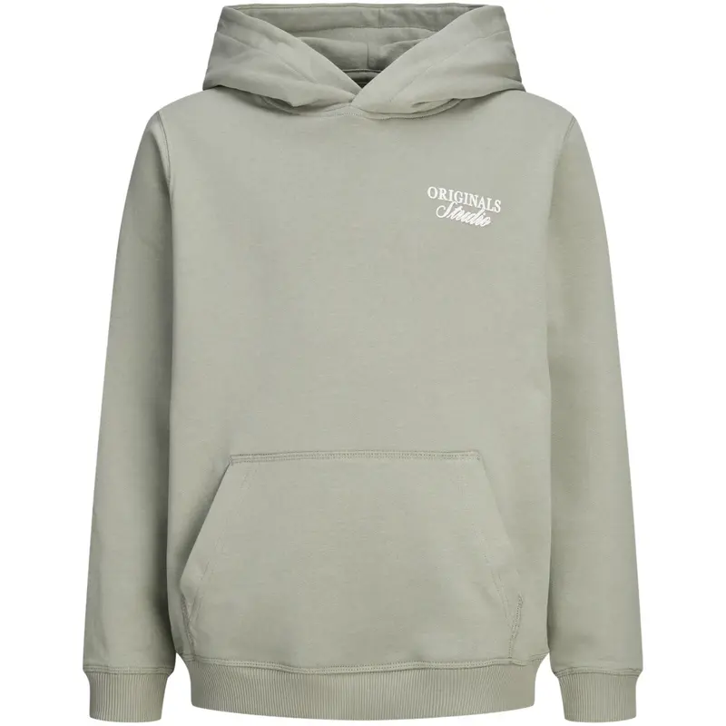 Jack & Jones Junior Seagrass Jornorrebro Typo Back Sweat Hætte Sn Jnr 1
