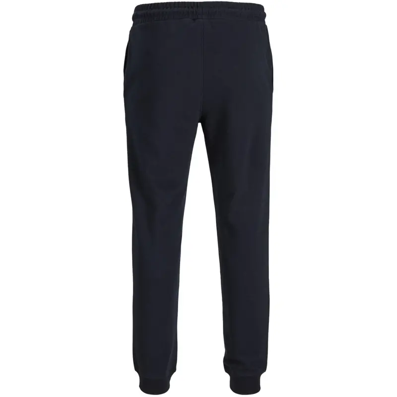 Jack & Jones Junior Sky Captain Jpstgordon Makoto Sweat Bukser Jnr 2