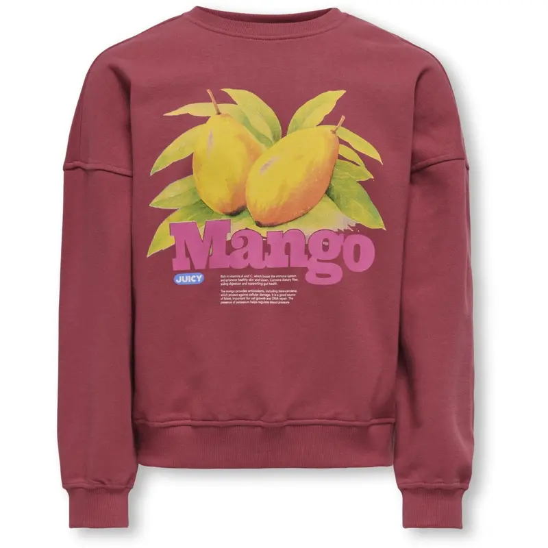 Kids Only Earth Red Mango Philea Life Overzise Fruit O-Neck Sweatshirt 1