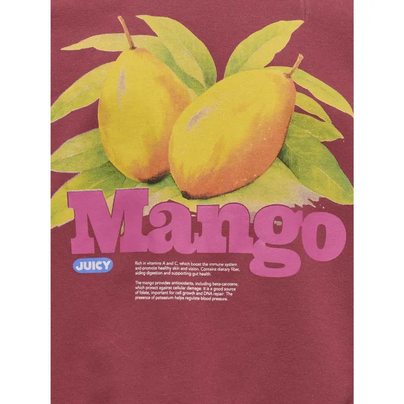 Kids Only Earth Red Mango Philea Life Overzise Fruit O-Neck Sweatshirt 3