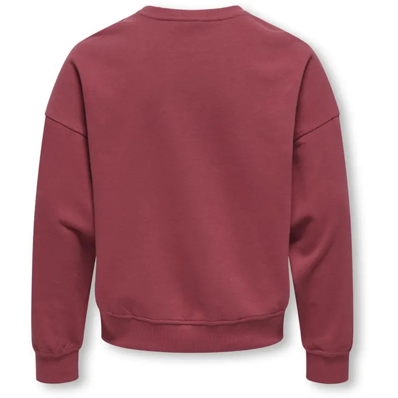 Kids Only Earth Red Mango Philea Life Overzise Fruit O-Neck Sweatshirt 4