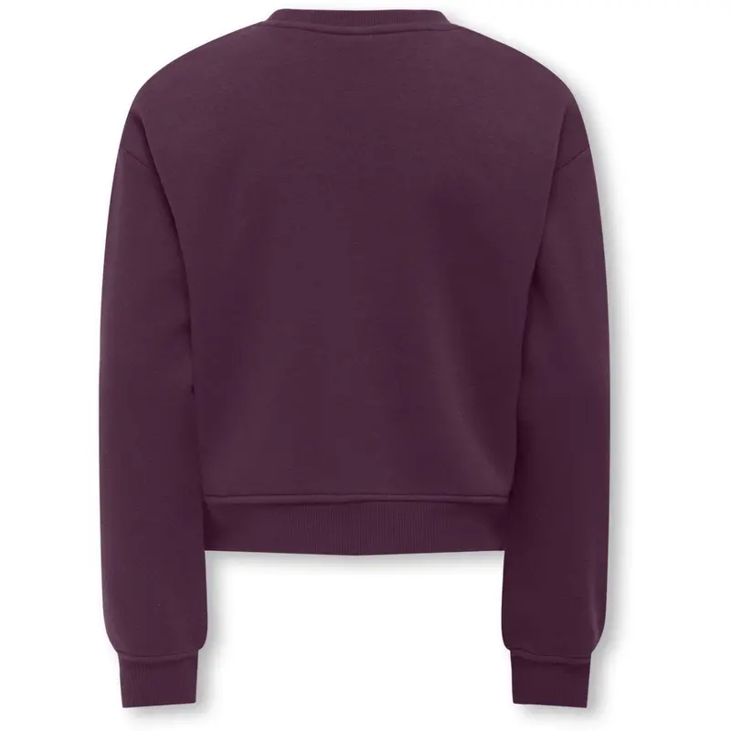 Kids Only Mauve Wine Los Angeles - California Kogsweat Life Ls Crew Ovz Stat Swt Noos 3
