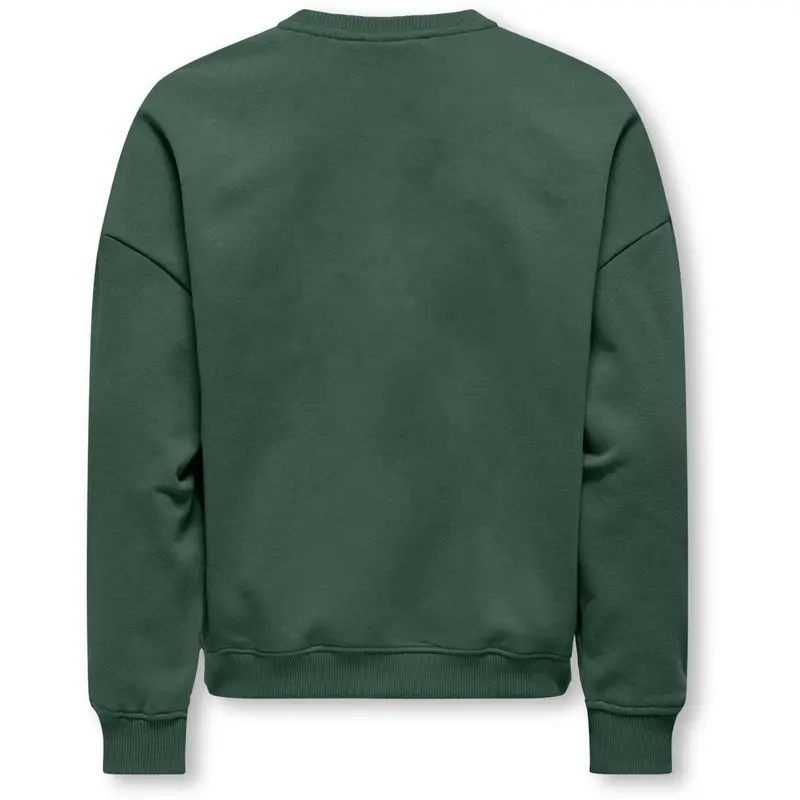 Kids Only Pineneedle Collage Kogbila L/S Ovz Bjørn O-Neck Swt Noos 4