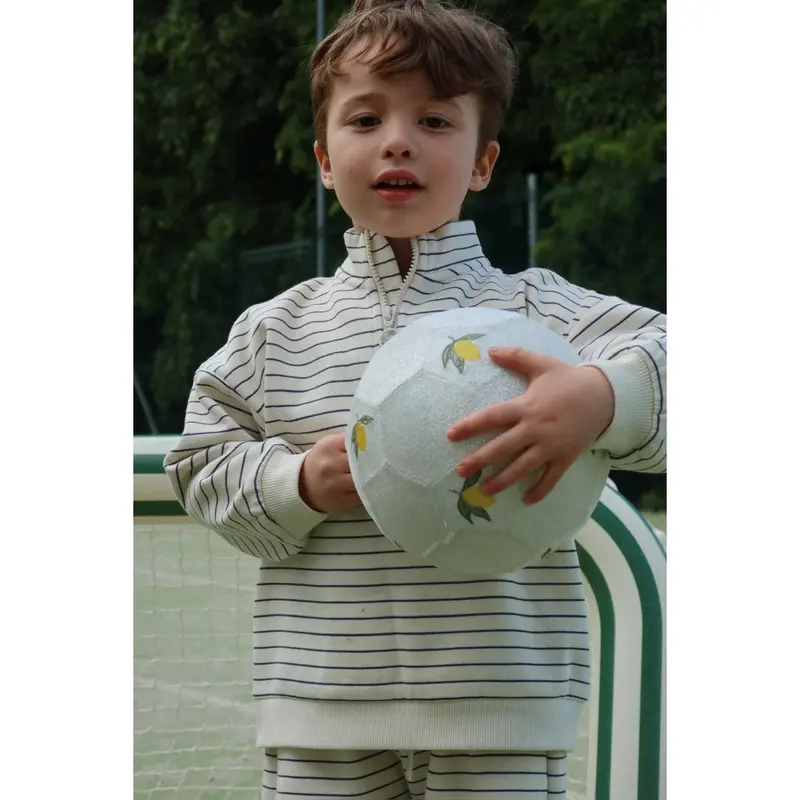 Konges Sløjd Flintstone Stripe Lou Stripe Half Zip Sweat Ocs 2