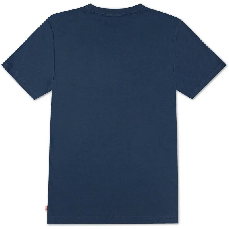 Levi's Big Dipper Batwing Tee 3