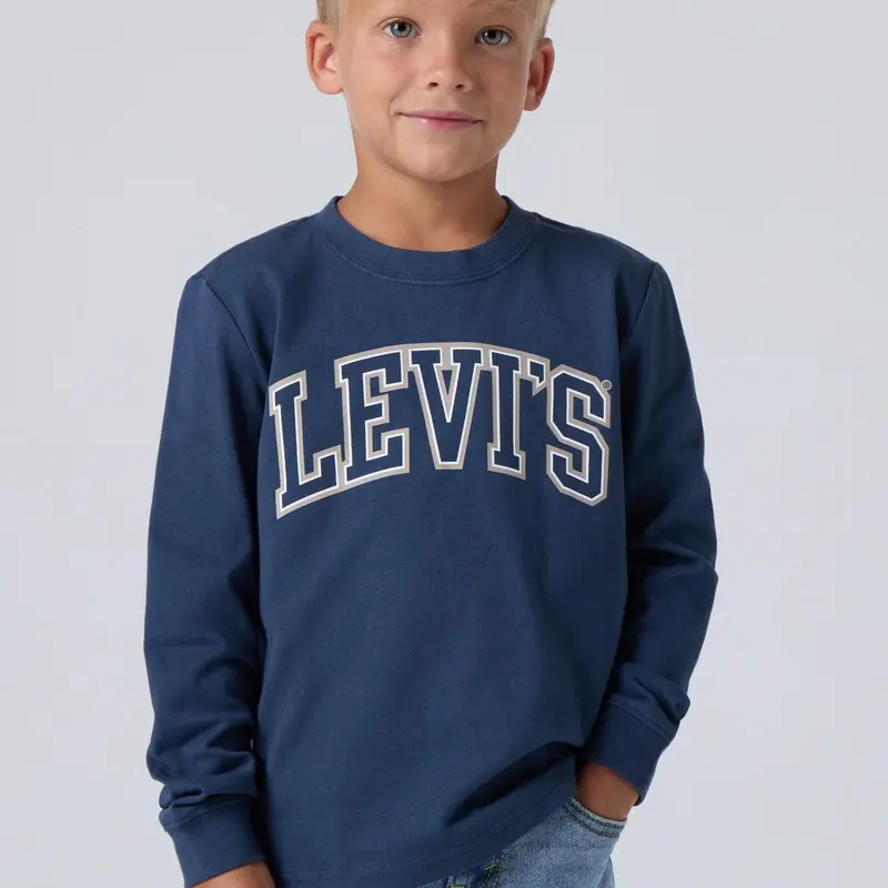 Levi's Big Dipper Collegiate Ls Tee 2