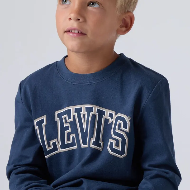 Levi's Big Dipper Collegiate Ls Tee 3