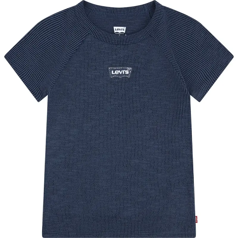Levi's Big Dipper Farve Block Raglan Top 1