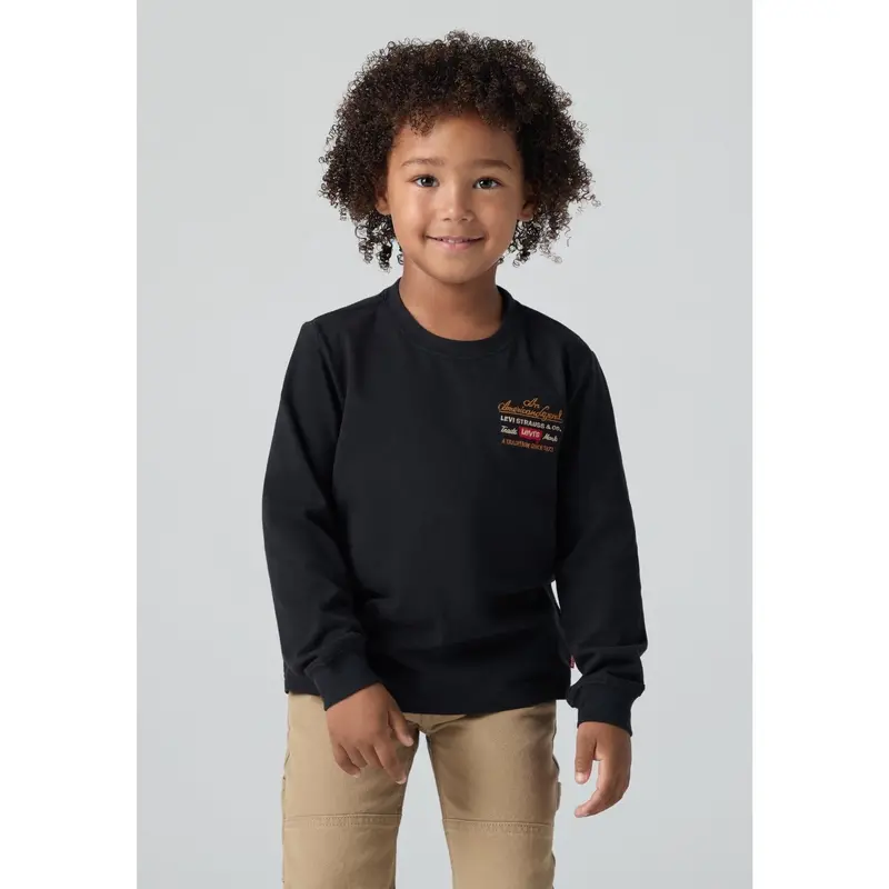 Levi's Jet Black Legendary Ls Tee 2