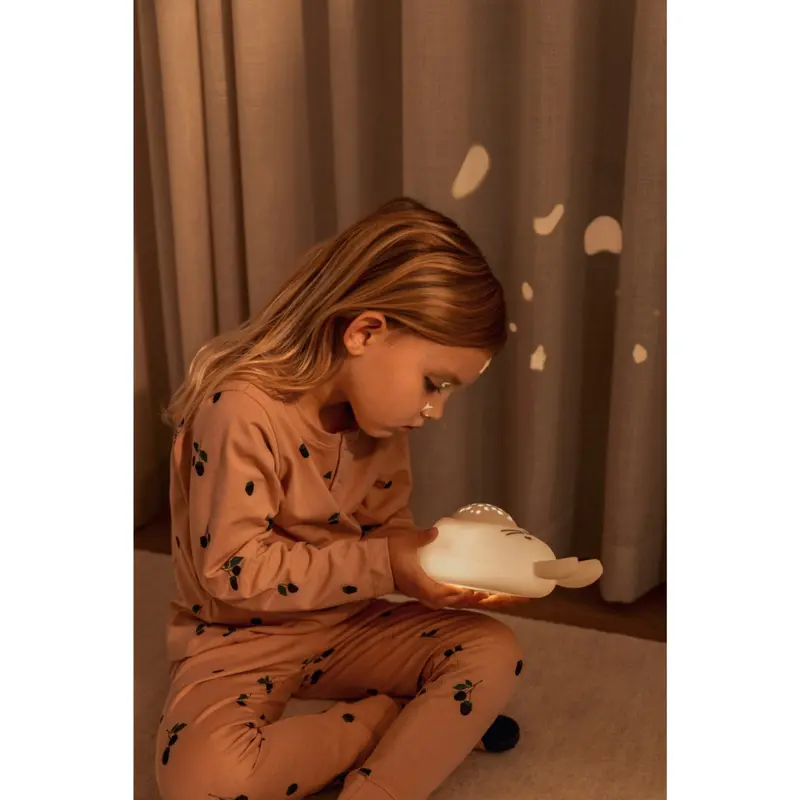 Liewood Mini Berry / Pale Tuscany Wilhelm Printed Pyjamas Sæt 2
