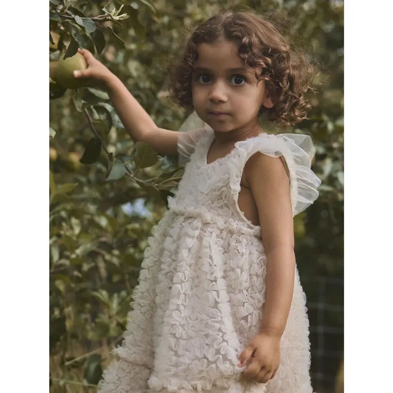 Lil'atelier Pumice Stone Nmffauna Capsl Tyl Kjole Lil 3