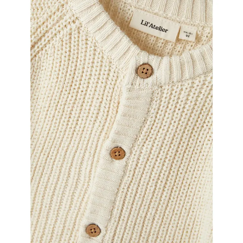 Lil'atelier Turtledove Nmnemlen Lin Ls Strik Card Lil Noos 2