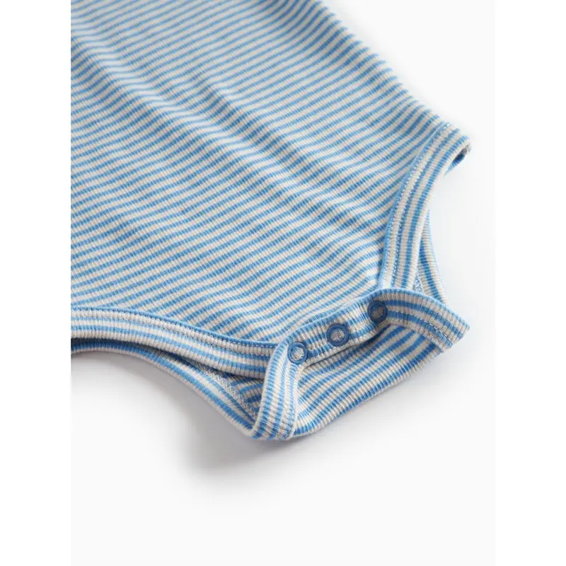 Marmar Modal Fine Rib Blue Stripe Ben Body 3