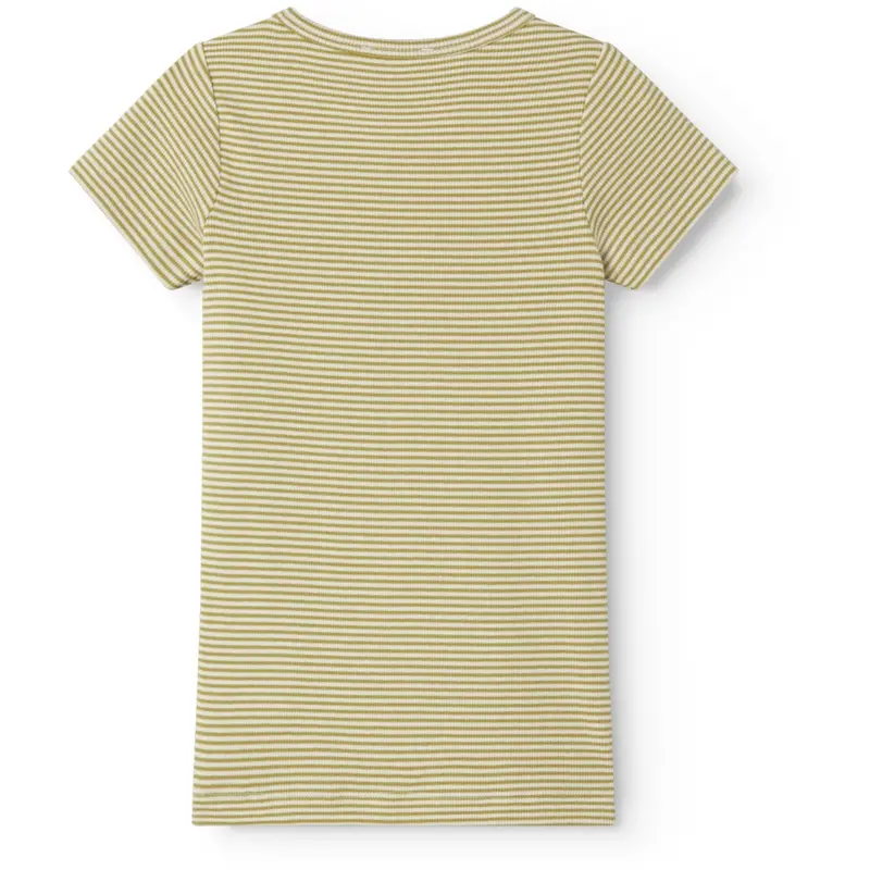 Marmar Modal Fine Rib Olive Stripe Tago T-Shirt 4
