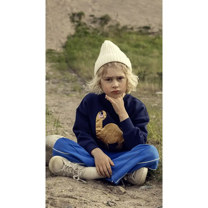 Mini Rodini Blue Dino Application Sweatshirt 2