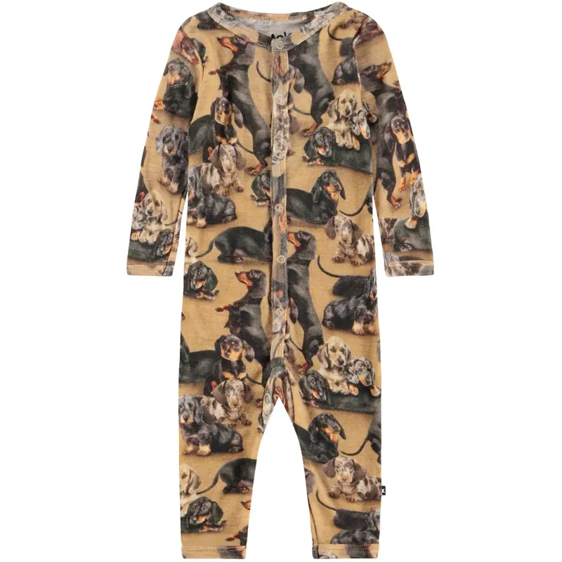 Molo Dachshunds Fahari Uld Bodysuits Jersey 1