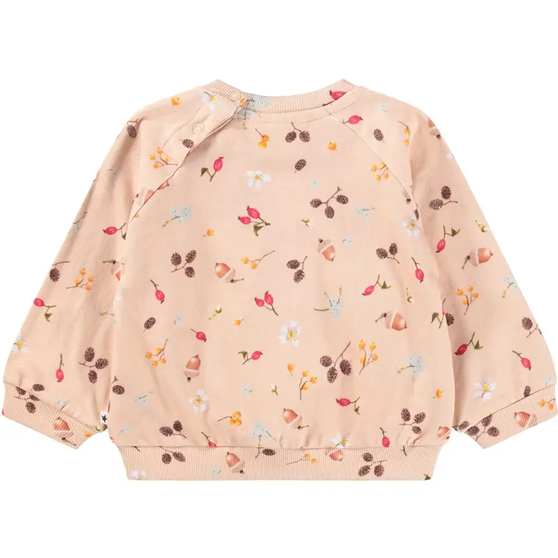Molo Foraging Rose Disc Sweatshirt 5