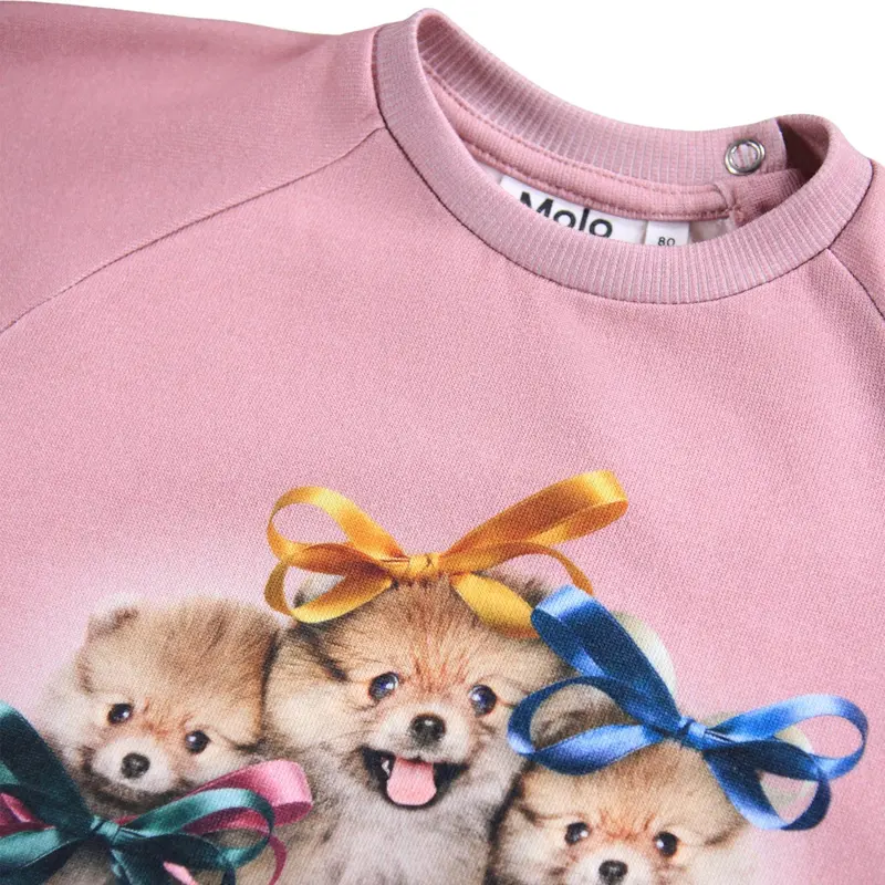 Molo Ribbon Play Disc Sweatshirt 3