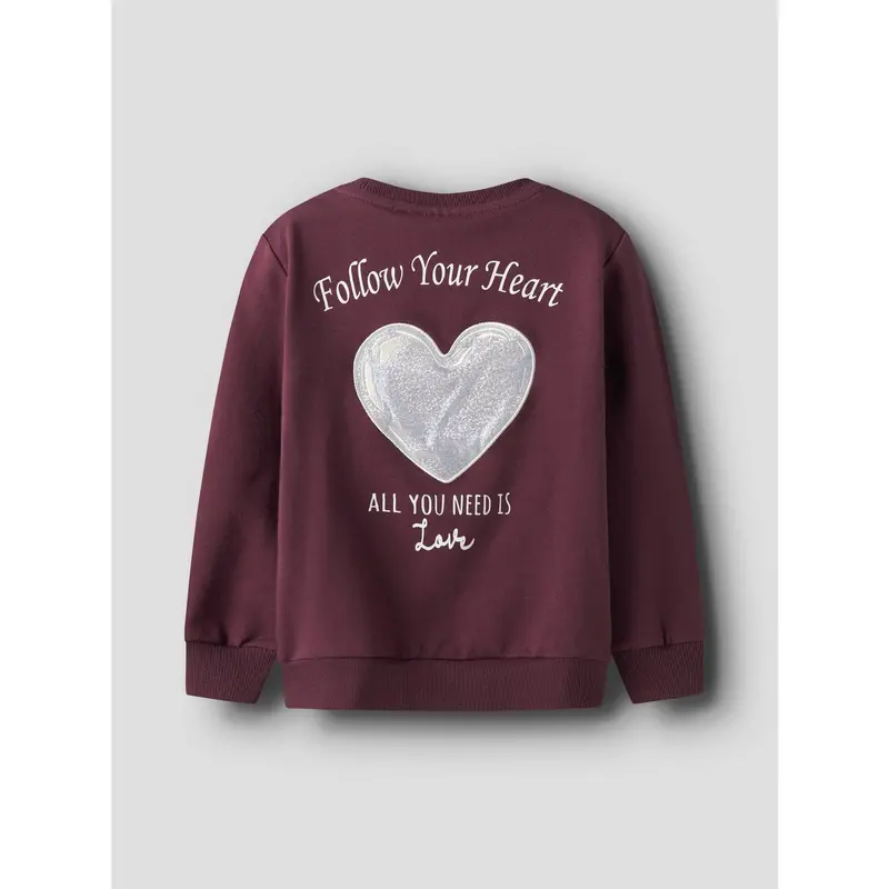 Name It Burgundy Nmfsakkina Ls Sweat Box Bru 3