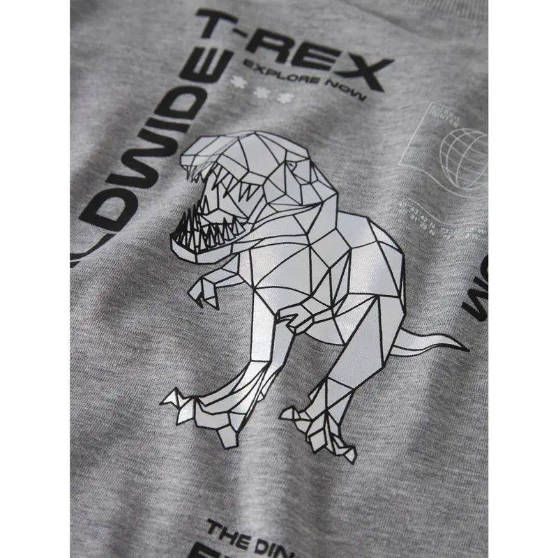 Name It Grey Melange Nmmbryso Ls Nreg Top Box 2
