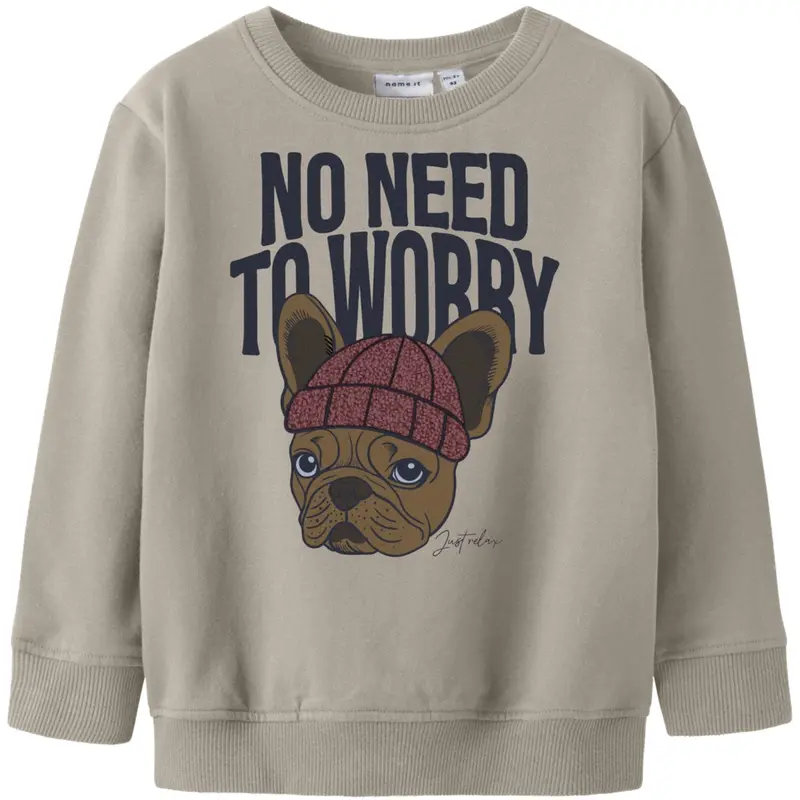 Name It Island Fossil Nmmriguna Ls Nreg Sweat Bru Box 1