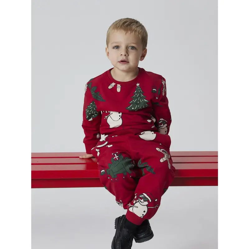 Name It Jester Red Nmmroka Ls Nreg Sweat Bru Box 2