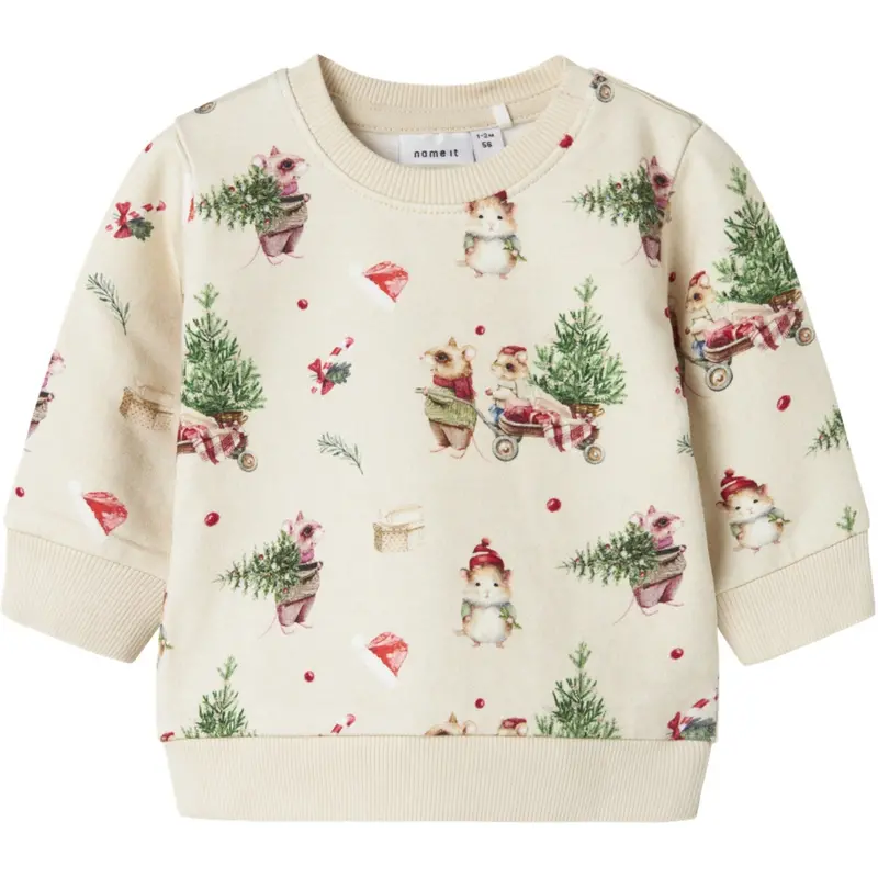 Name It Peyote Melange Nbnrenu Ls Sweat Bru 1