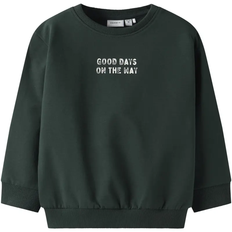 Name It Pine Grove Nmmslade Ls Nreg Sweat Bru 1