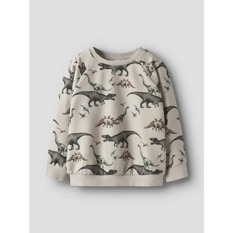 Name It Pumice Stone Nmmbertil Ls Nreg Sweat Bru 6