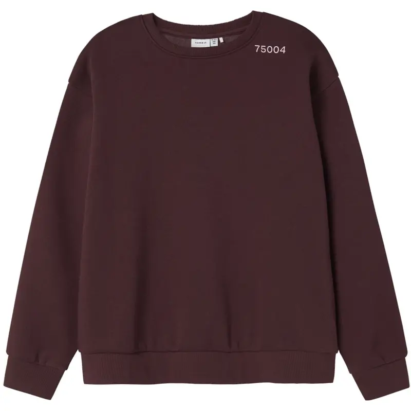 Name It Sassafras Nkfodika Ls Rlx Sweat Bru Bf 1