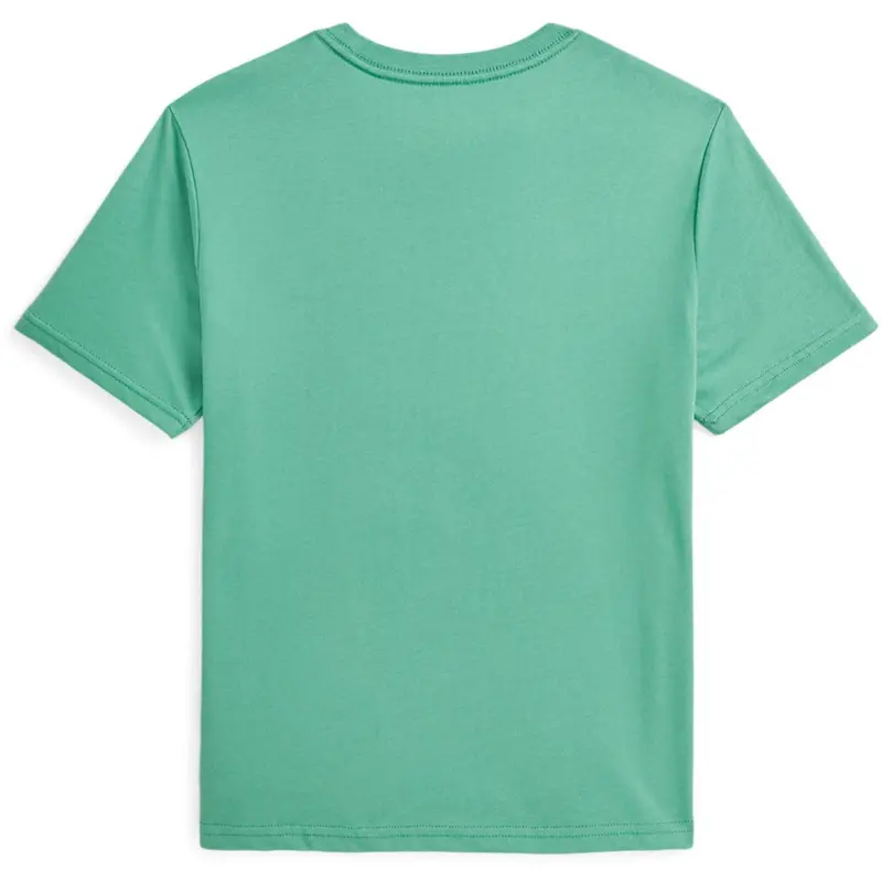 Polo Ralph Lauren Bear Haven Green Boy T-Shirt 3