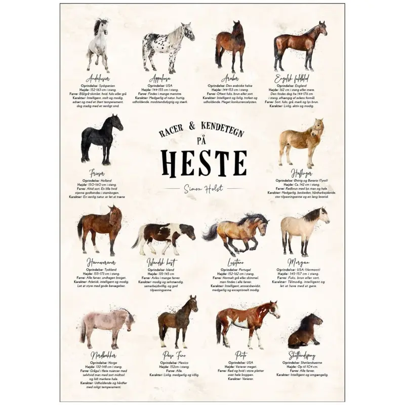 Poster & Frame Simon Holst - En Plakat Med Heste - Sten 1