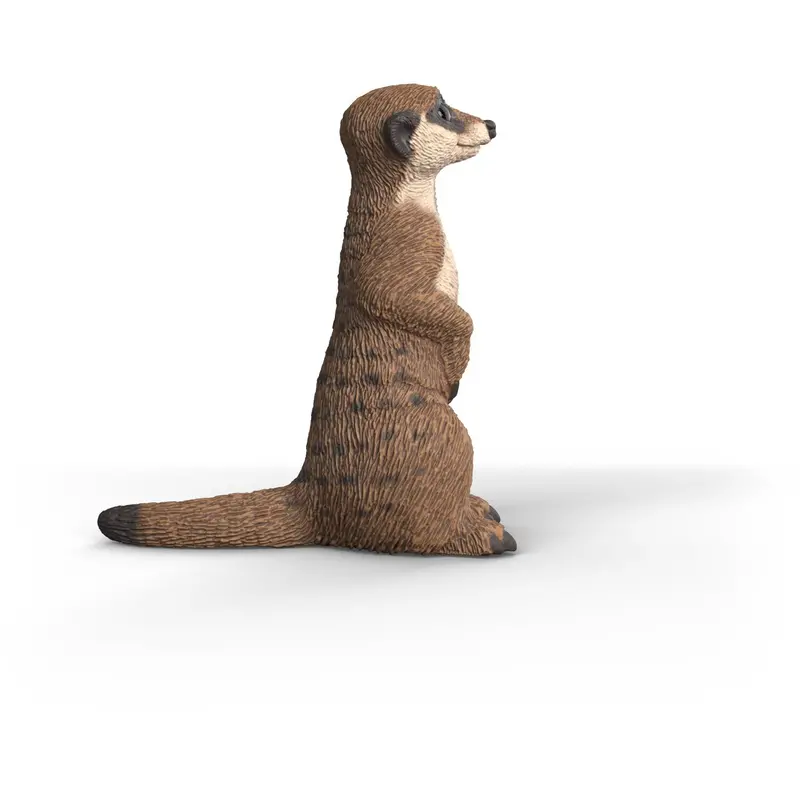 Schleich Surikat 1