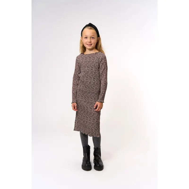 The New Feather Gray Aop Tnpet L_S Pleat Kjole 2