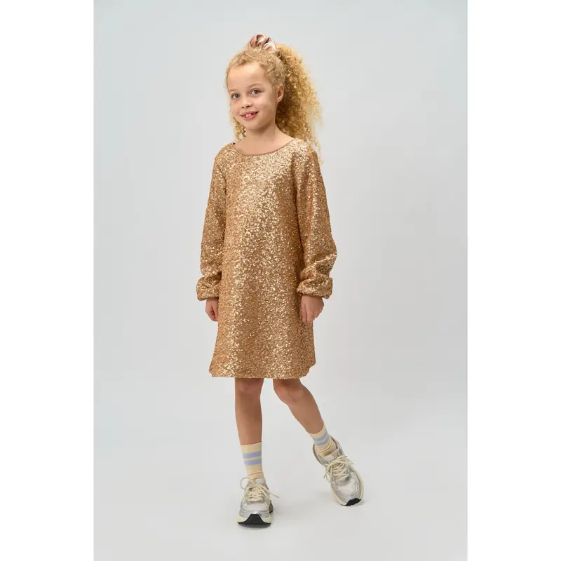 The New Gold Rupa L_S Paliet Kjole 3