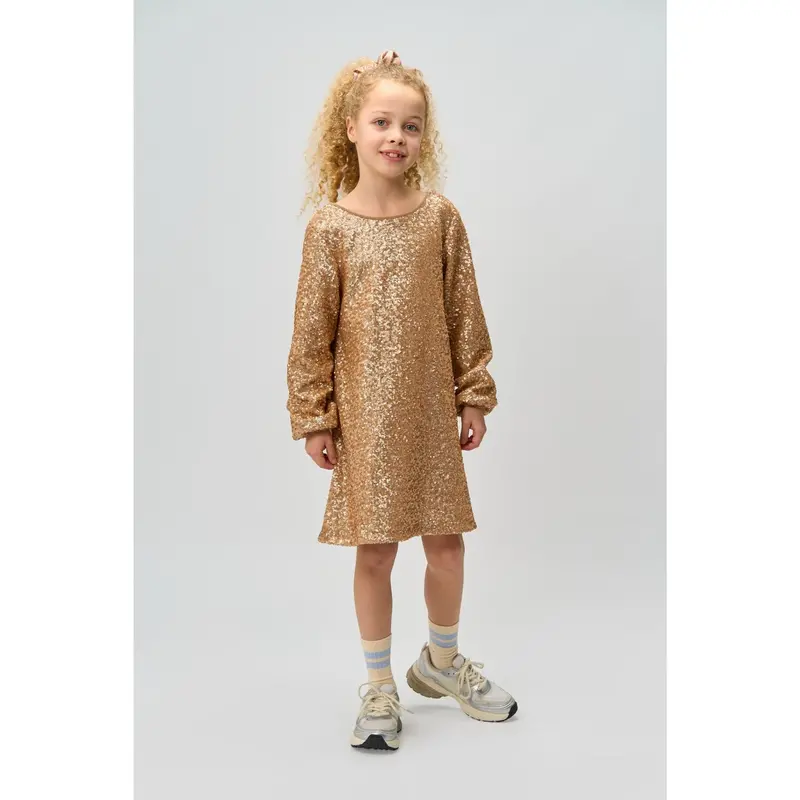 The New Gold Rupa L_S Paliet Kjole 4